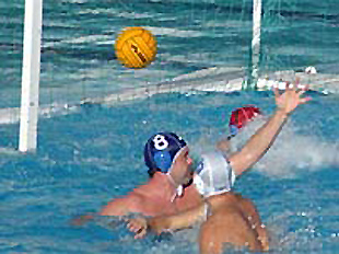 Filets water-polo | Cittadini