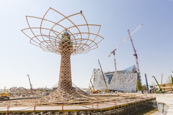 EXPO 2015 - Arbre de Vie |Cittadini