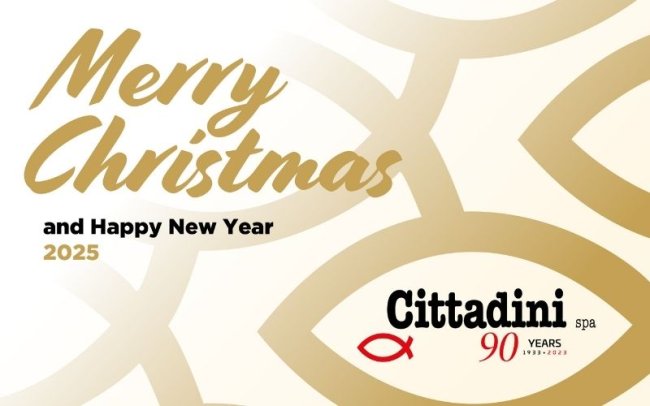 Natale 2024 | Cittadini spa