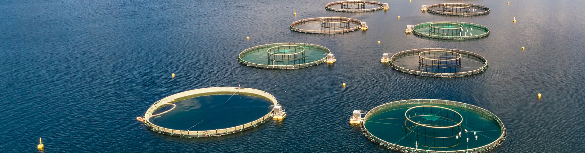 aquaculture fish farming cages series for