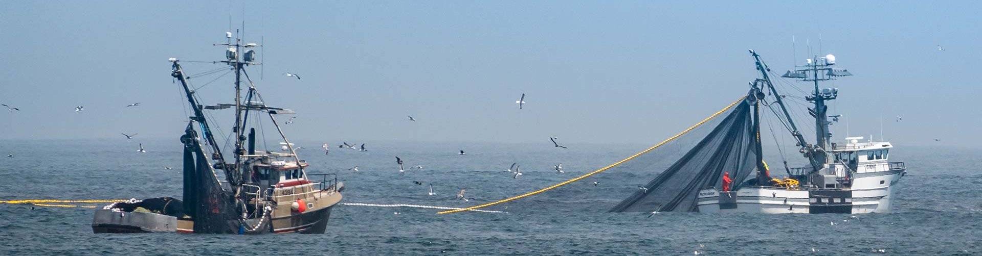 Reti, filati, trecce, corde per la pesca Cittadini